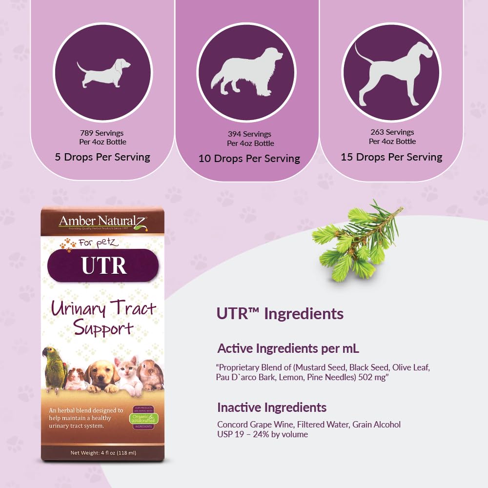 AMBER NATURALZ UTR Urinary Tract Herbal Supplement for Dogs, Cats, Birds, Guinea Pigs, and Rabbits | Pet Herbal Supplement for B